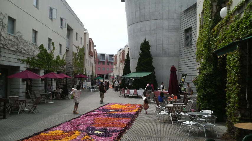 2009050409510000.jpg