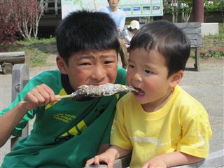 IMG_0159_R.jpg