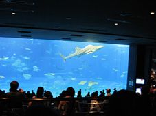 IMG_0845_R.JPG