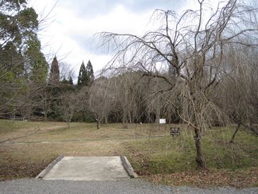 IMG_0881_R.JPG