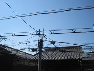 IMG_2661_R.JPG