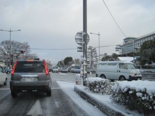 IMG_4716_R.JPG